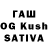 А ПВП СК КРИС Talgat Sagadeev