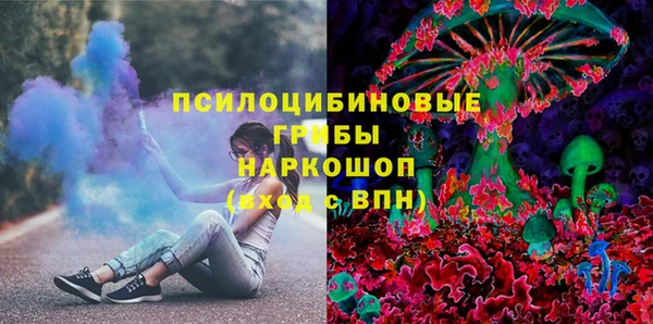 ПСИЛОЦИБИНОВЫЕ ГРИБЫ Нея