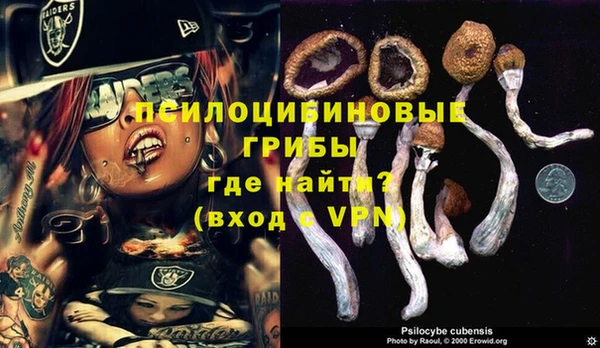 apvp Болохово