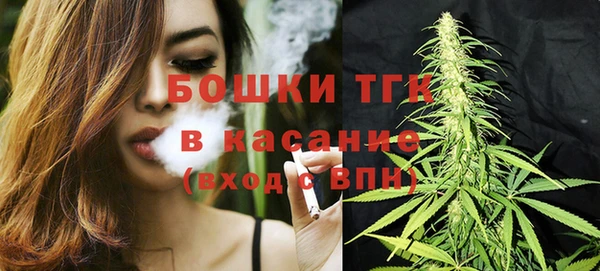 ПСИЛОЦИБИНОВЫЕ ГРИБЫ Нея