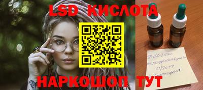 шишки Донской