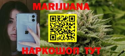 шишки Донской