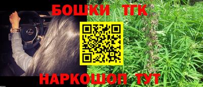 шишки Донской