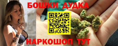 шишки Донской