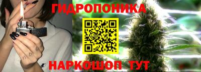 прущая мука Дубна