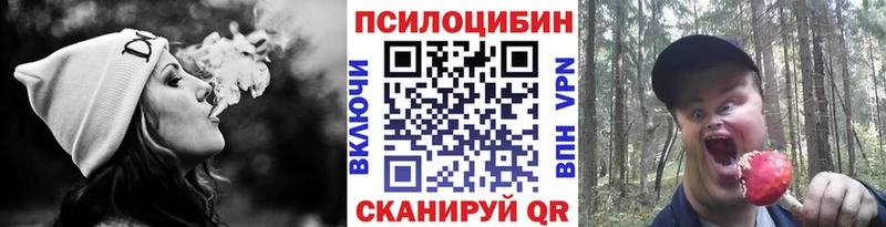 купить закладку  Краснокамск  Псилоцибиновые грибы GOLDEN TEACHER 